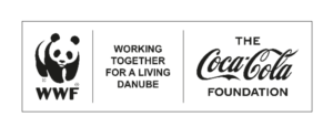 The Coca-Cola Company